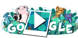 das-heutige-google-doodle-ist-ein-lustiges-kleines-spiel-ueber-eine-gefaehrdete-amphibie