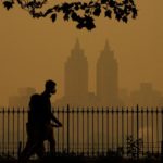 air-pollution-can-increase-risk-of-dementia,-study-suggests