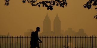 air-pollution-can-increase-risk-of-dementia,-study-suggests
