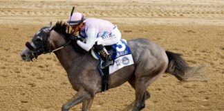 arcangelo’s-trainer-jena-antonucci-eyes-the-breeders’-cup-classic-for-the-travers-winner