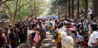 over-1,400-people-starved-to-death-in-tigray-since-food-aid-suspension